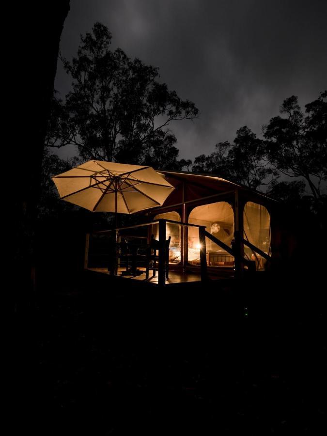 Wild Nature Lodge, Mareeba Wetlands Biboohra エクステリア 写真