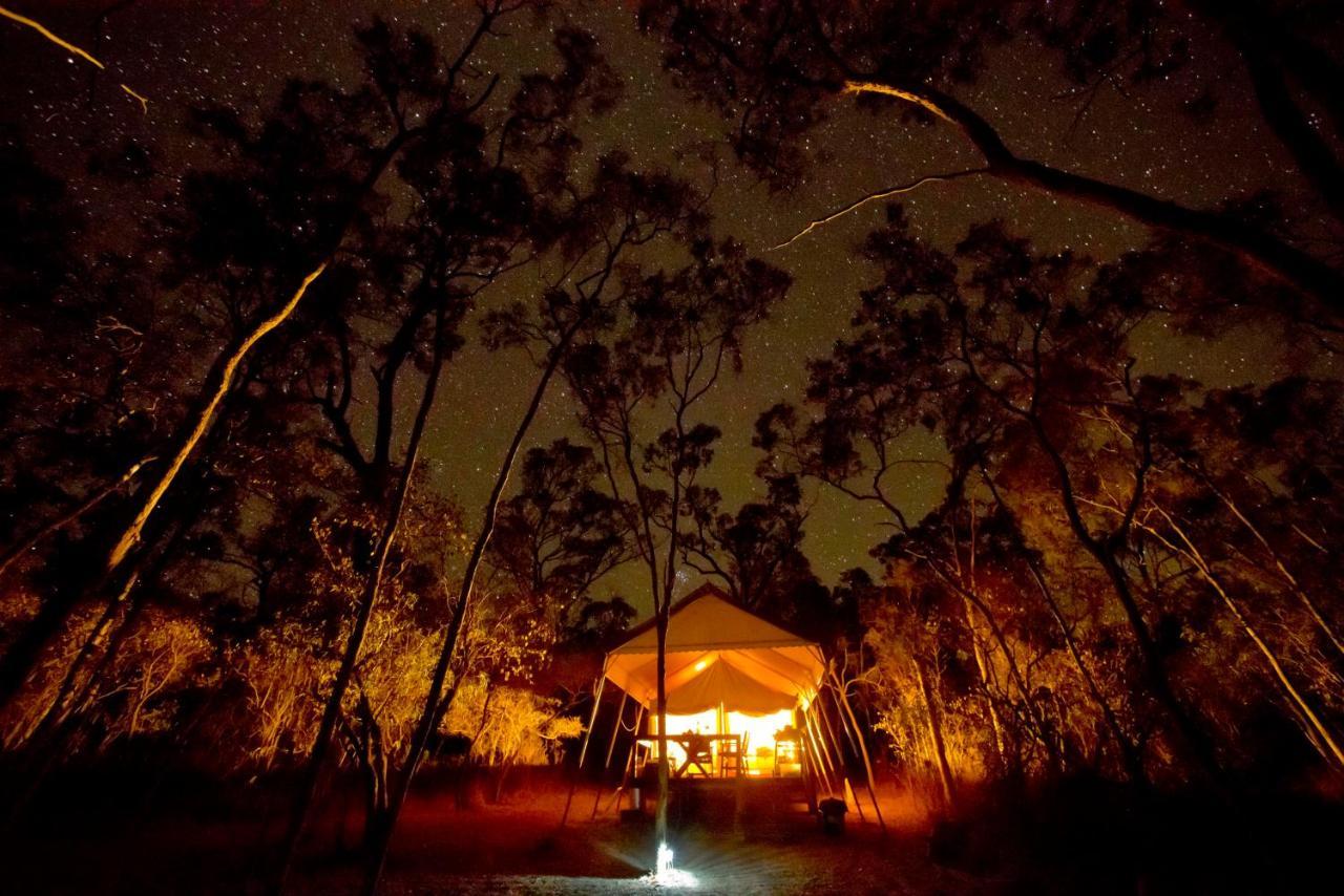 Wild Nature Lodge, Mareeba Wetlands Biboohra エクステリア 写真
