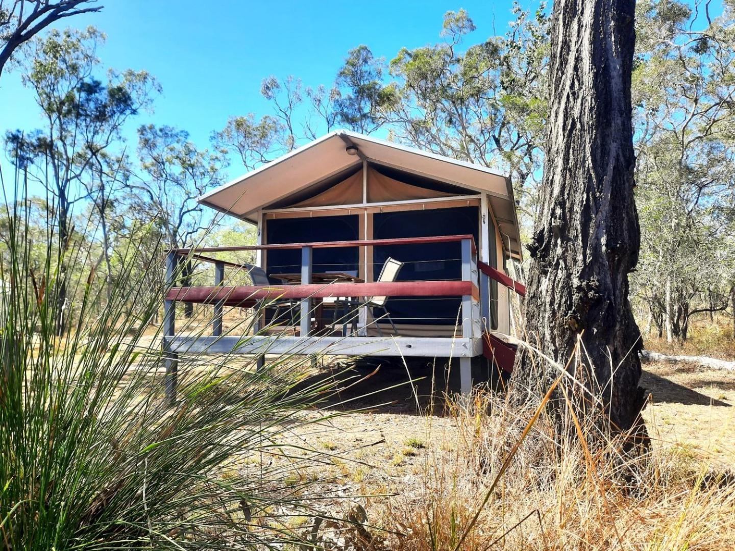 Wild Nature Lodge, Mareeba Wetlands Biboohra エクステリア 写真